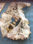 Miracles and Hope amidst Betty’s Bay Fires